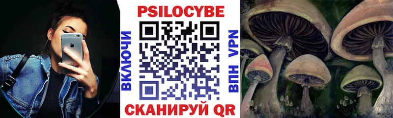 закладка  Фёдоровский  Псилоцибиновые грибы мицелий 